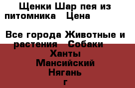 Щенки Шар пея из питомника › Цена ­ 25 000 - Все города Животные и растения » Собаки   . Ханты-Мансийский,Нягань г.